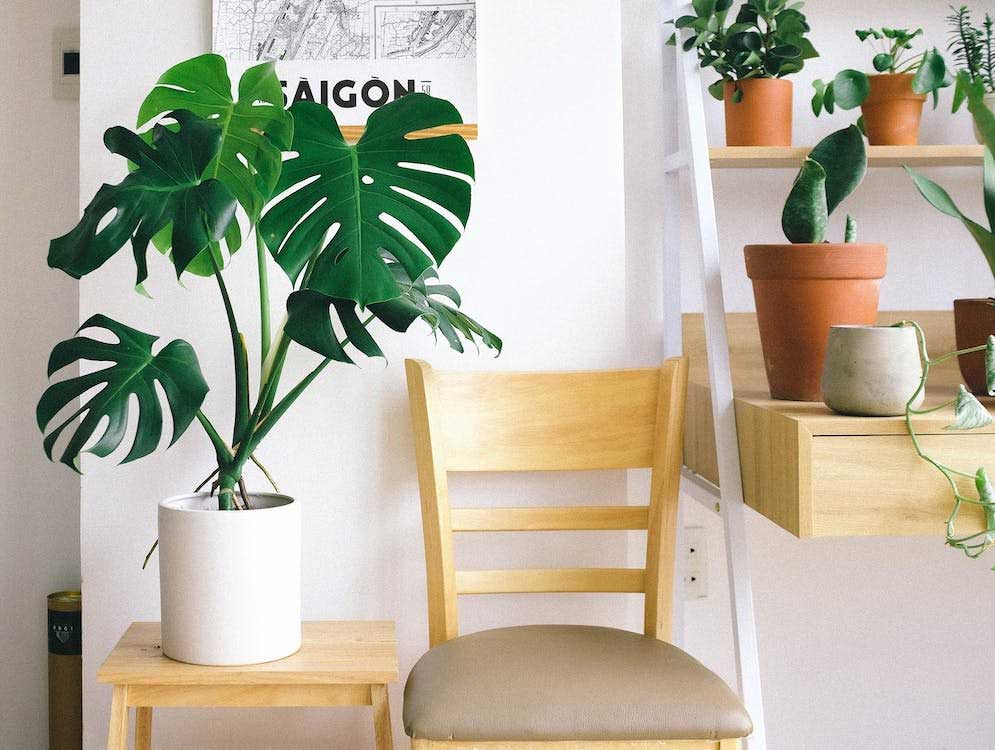 Praktisch en prachtig: kunst kamerplanten voor elke ruimte in huis