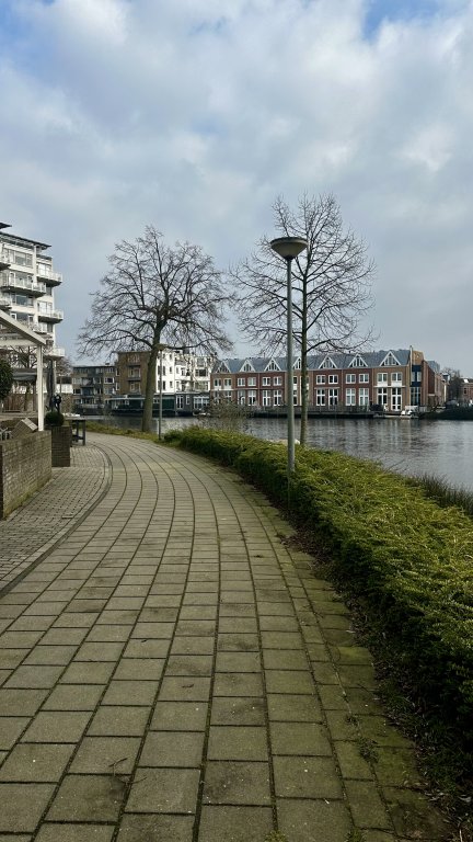 Image 19