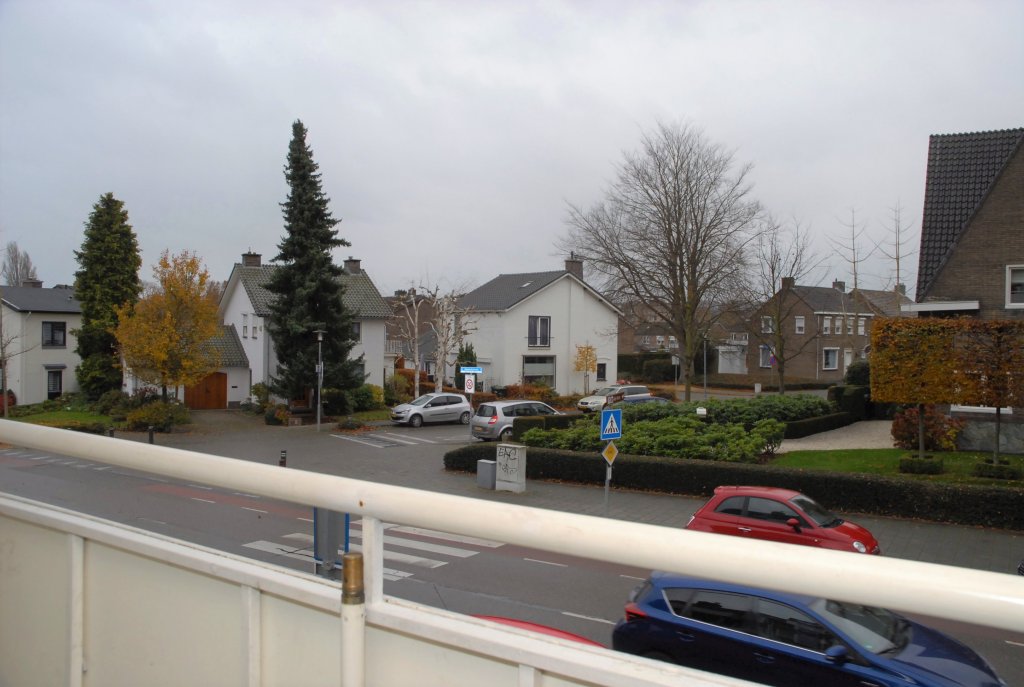 Image 12
