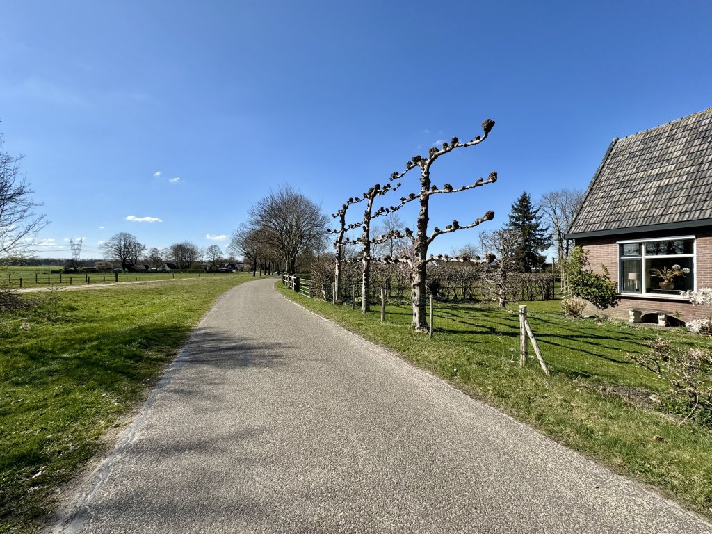 Image 35