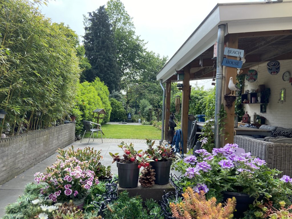 Image 12