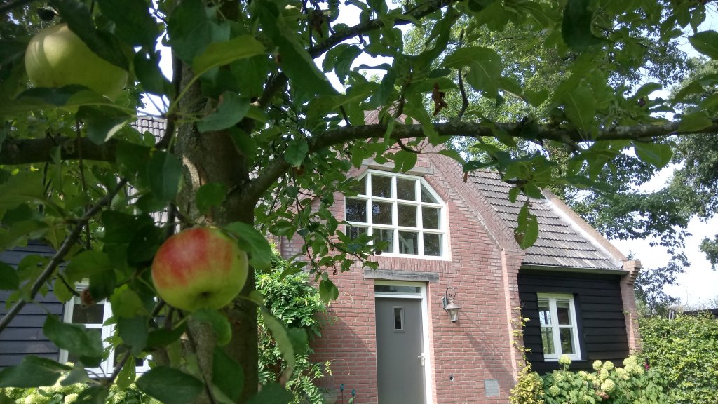 Image 4