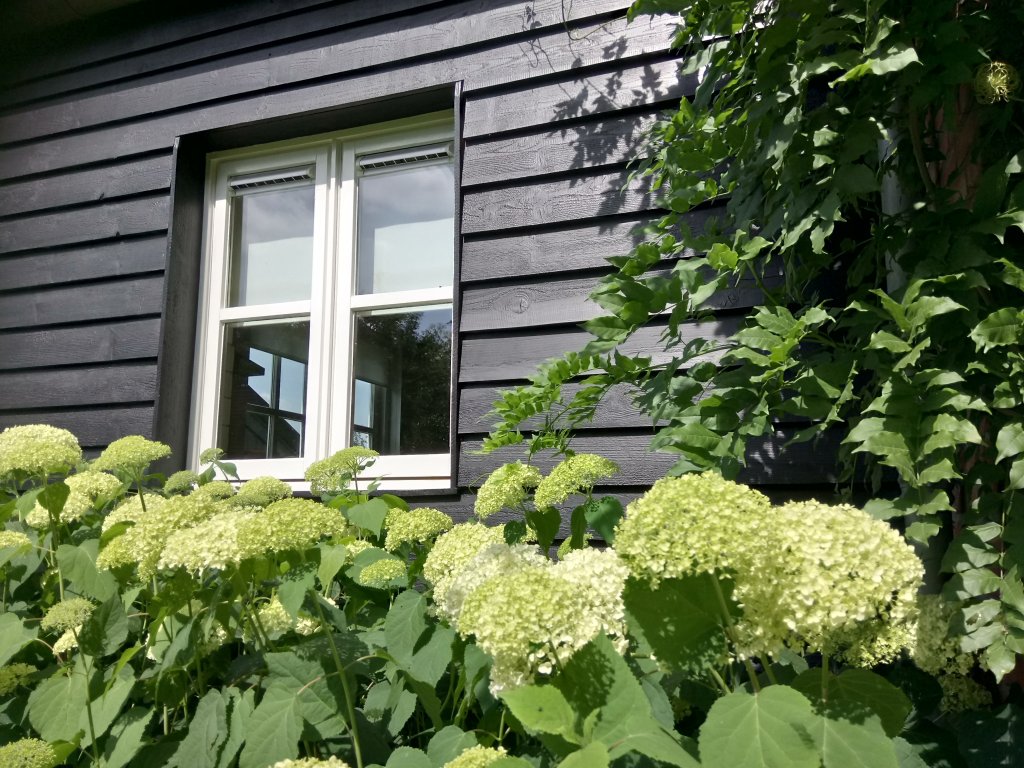 Image 22