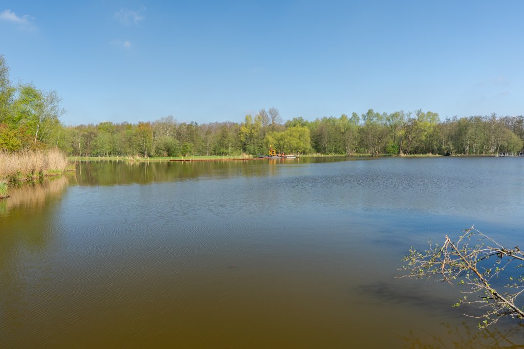 Image 29
