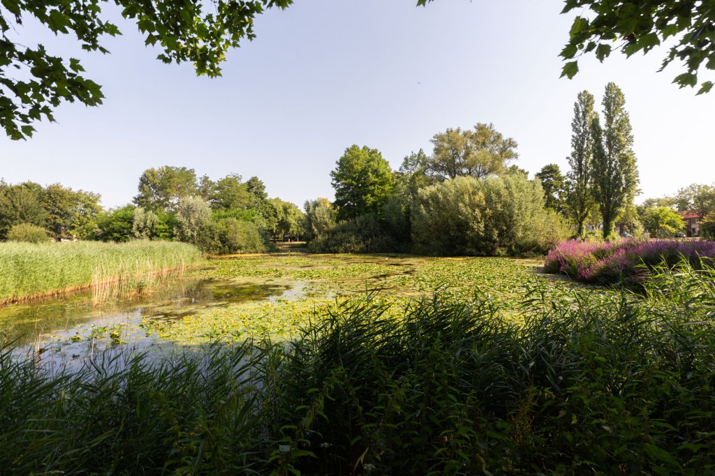 Image 34