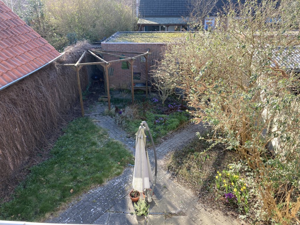 Image 19