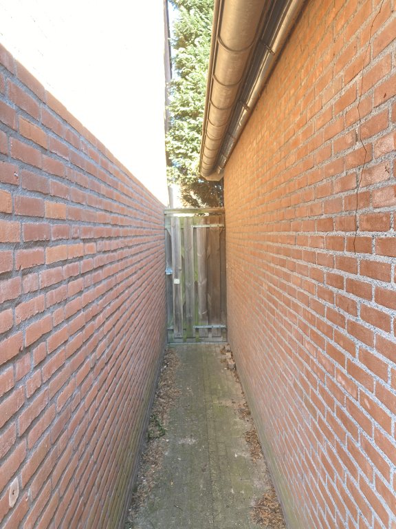 Image 20
