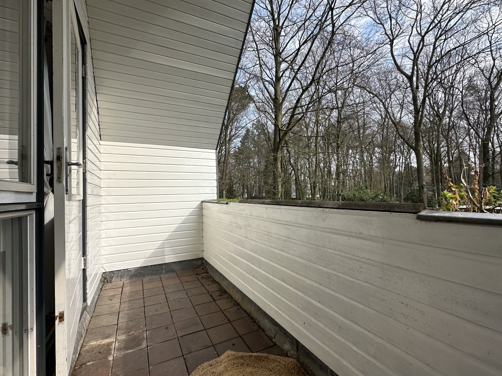 Image 19