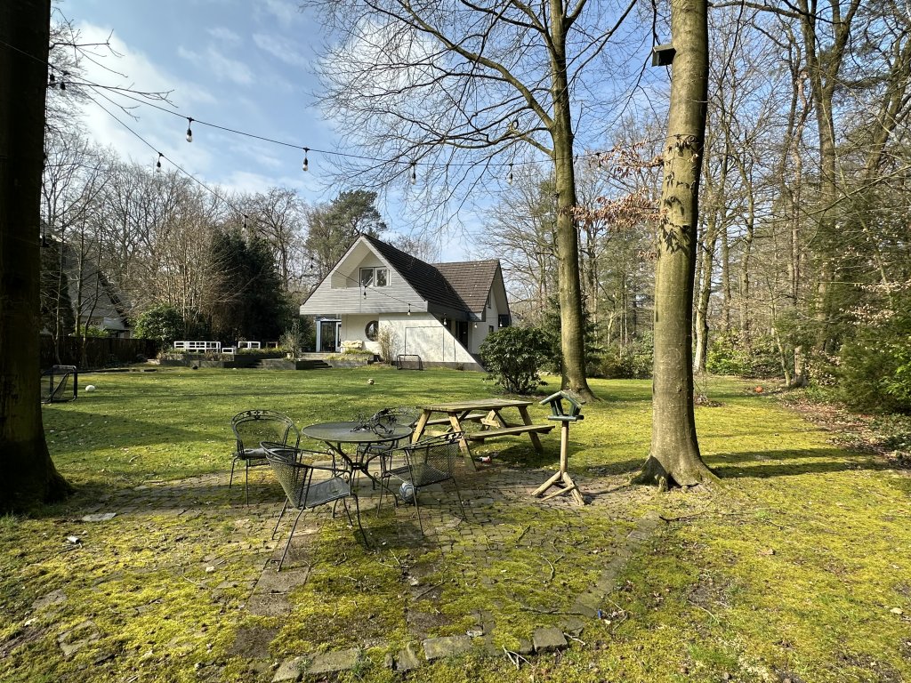 Image 31