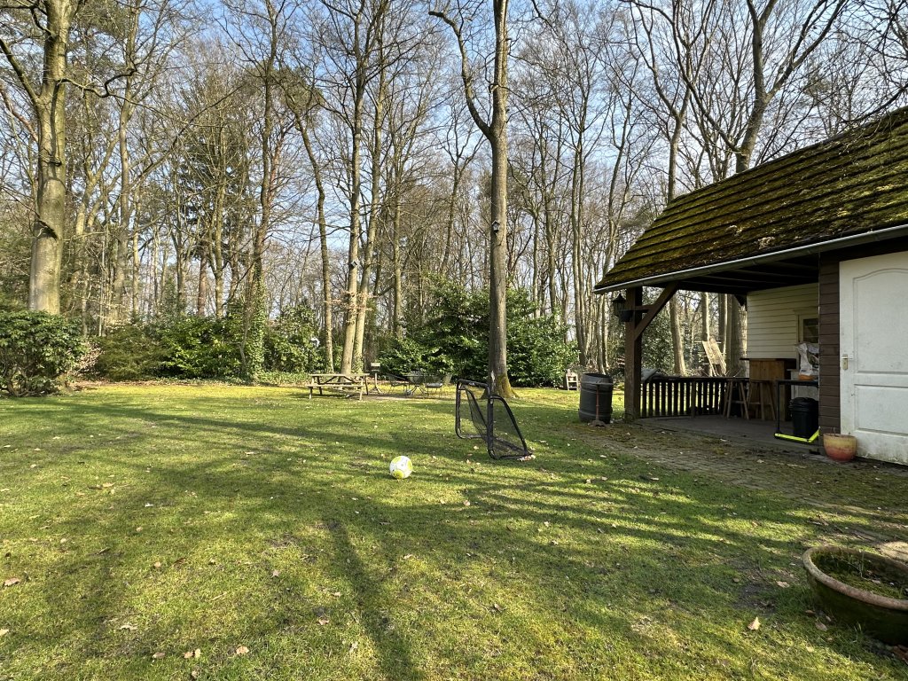 Image 33