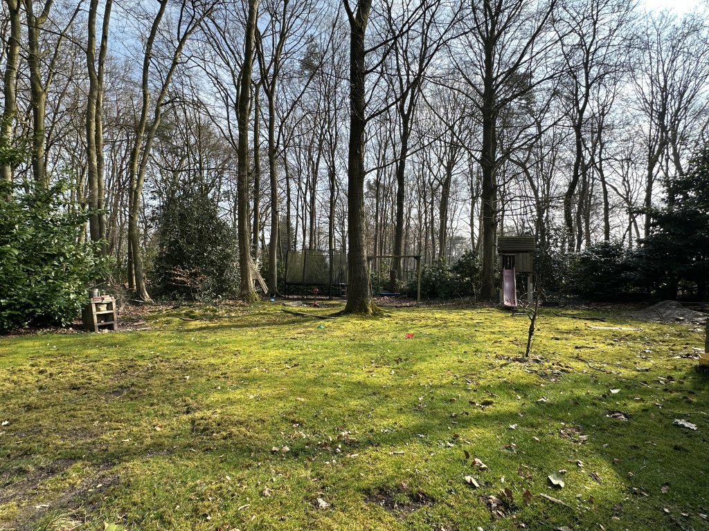Image 35