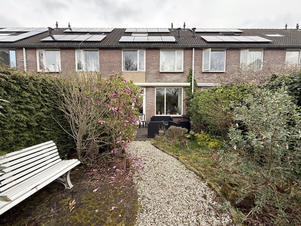Image 10