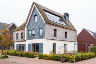 vrije-sector-woningen te huur op Dijk