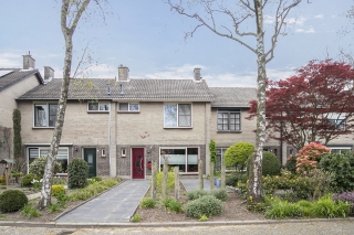 free-sector-houses for rent on Elisabethpark
