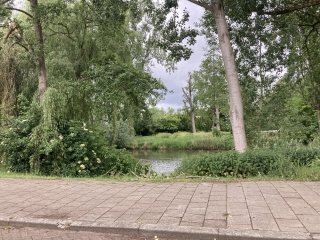 Pand