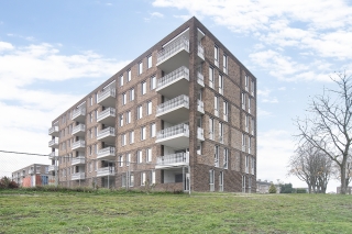 Waterleliestraat