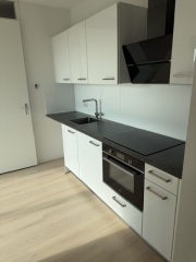 Singravenlaan Arnhem