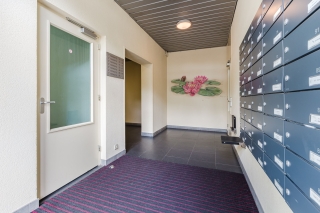 Pand