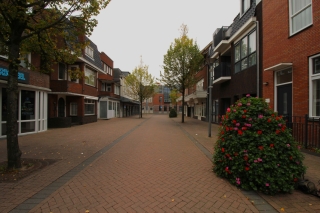 Pand
