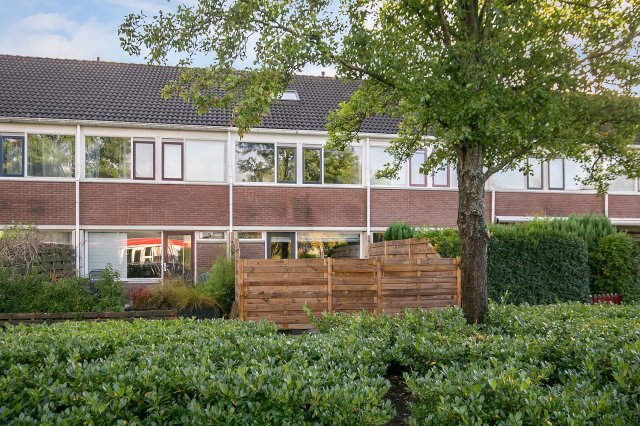 Zaan Emmeloord