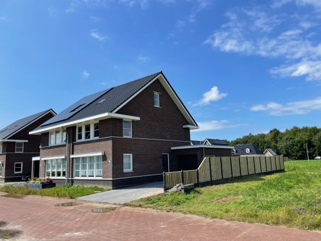 Pijlkruid Marknesse