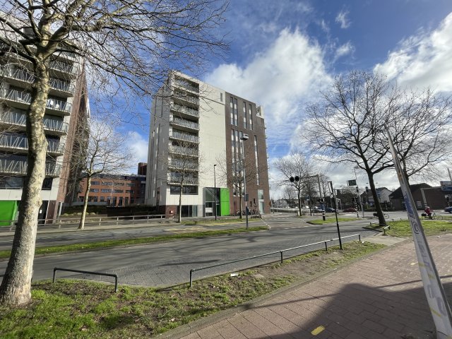 Schapenkamp Hilversum