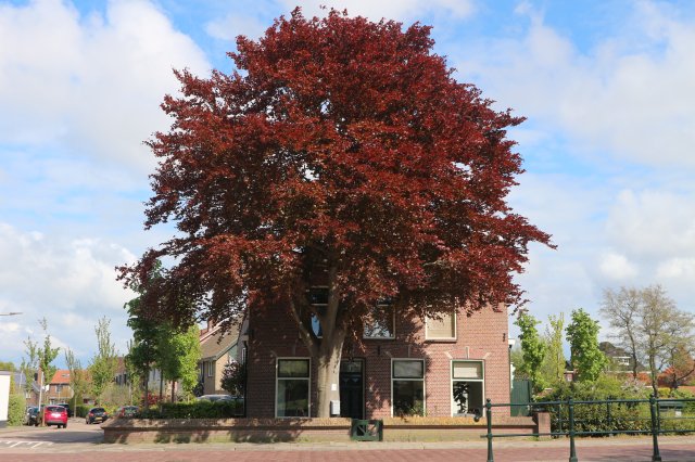 Wassenaarseweg Katwijk