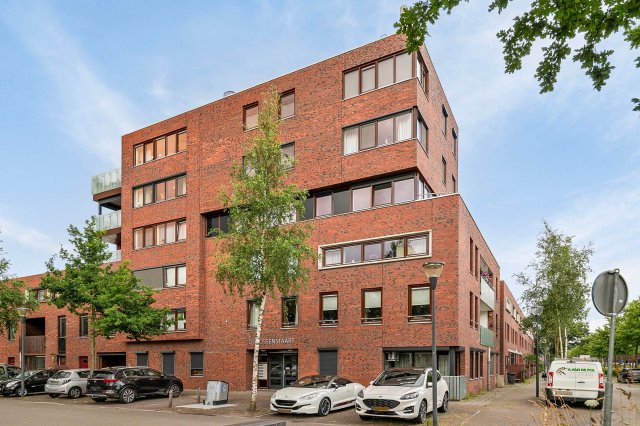 Graspieper Eindhoven