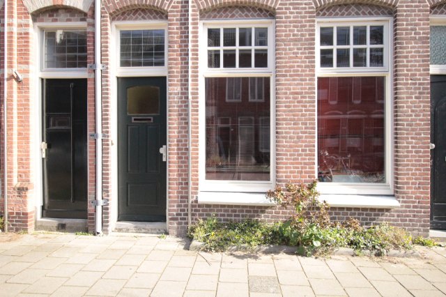 Riouwstraat Groningen