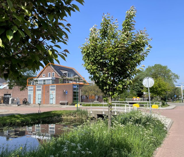 Bernhardstraat Zegveld