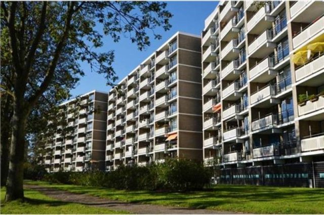 Cruquiuslaan Leiden