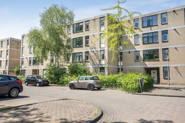 Narcisplantsoen Haarlem