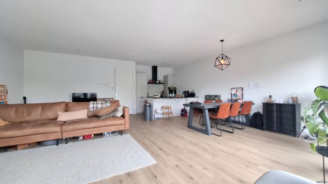 Achterhakkers Dordrecht