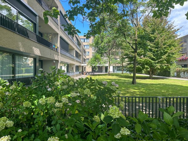 Dominee Coolsmastraat Breda