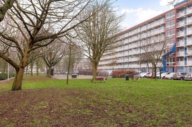 Jacques Urlusplantsoen Leiden