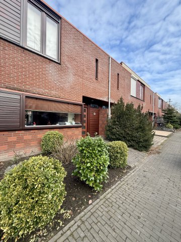 Grastapijt Eindhoven