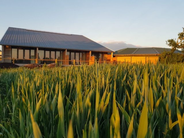 Mosselweg Biddinghuizen