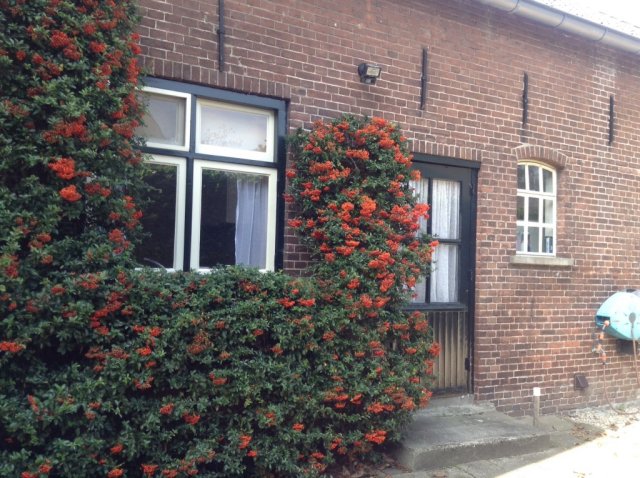 Benedeneindseweg Deil