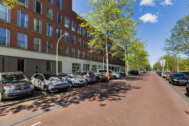 Steentijdsingel Den Haag