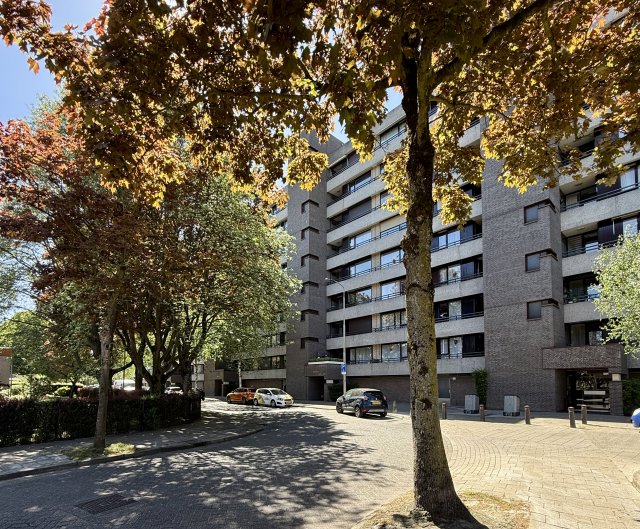 Amundsenlaan Eindhoven