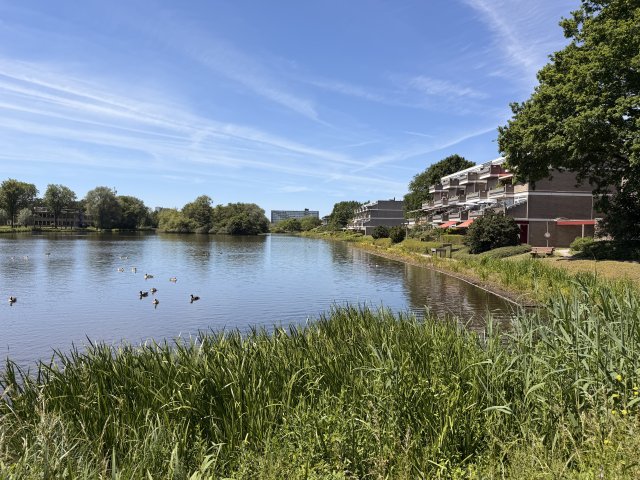 Engelsmanplaat Zwolle