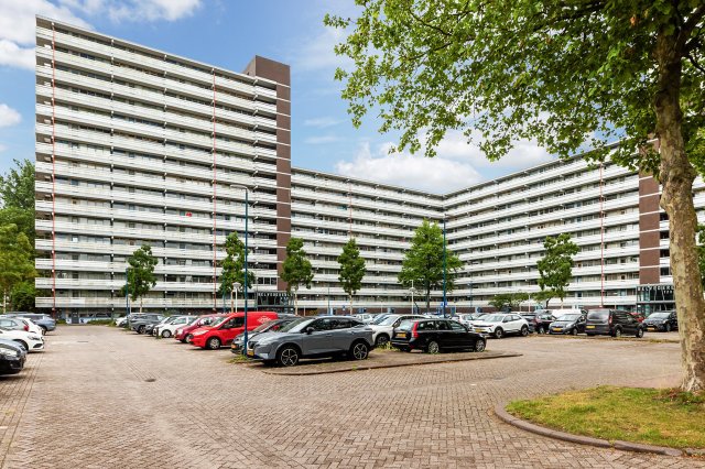 Belvédèrebos Zoetermeer