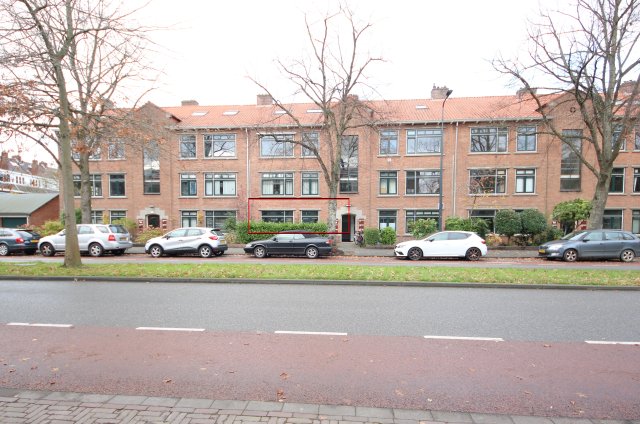 Burggravenlaan Leiden