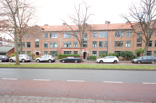 Burggravenlaan Leiden