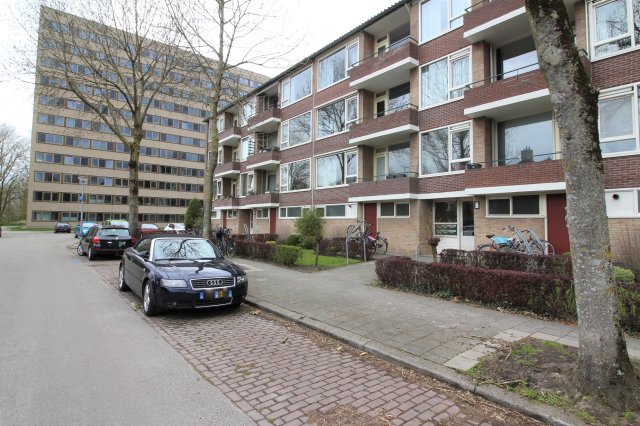Duindoornstraat Groningen